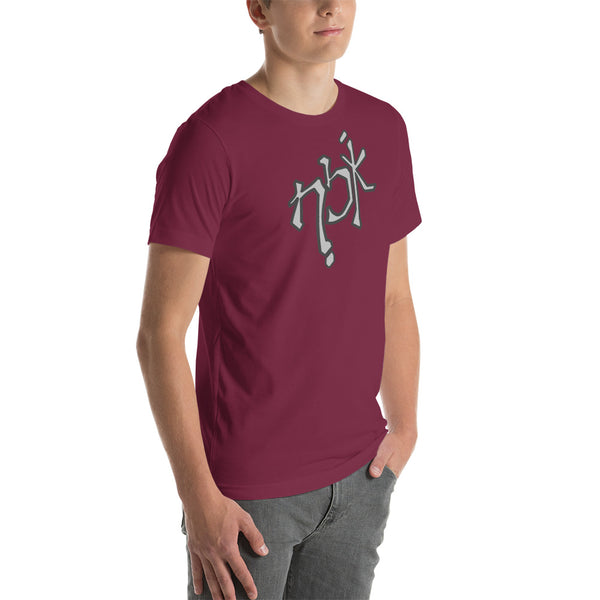 men's 'the logo' true fit premium t-shirt