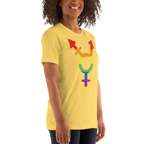 transgender rainbow pictogram soft feel t-shirt